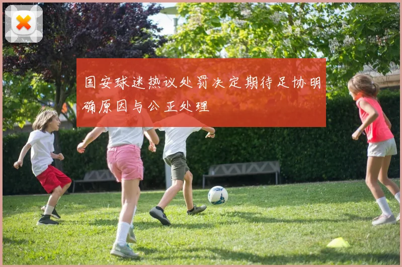 国安球迷热议处罚决定期待足协明确原因与公正处理